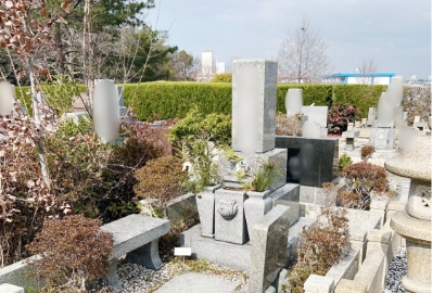 側面(右)の画像