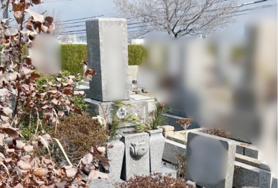 側面(左)の画像